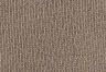 Fossil - Brown